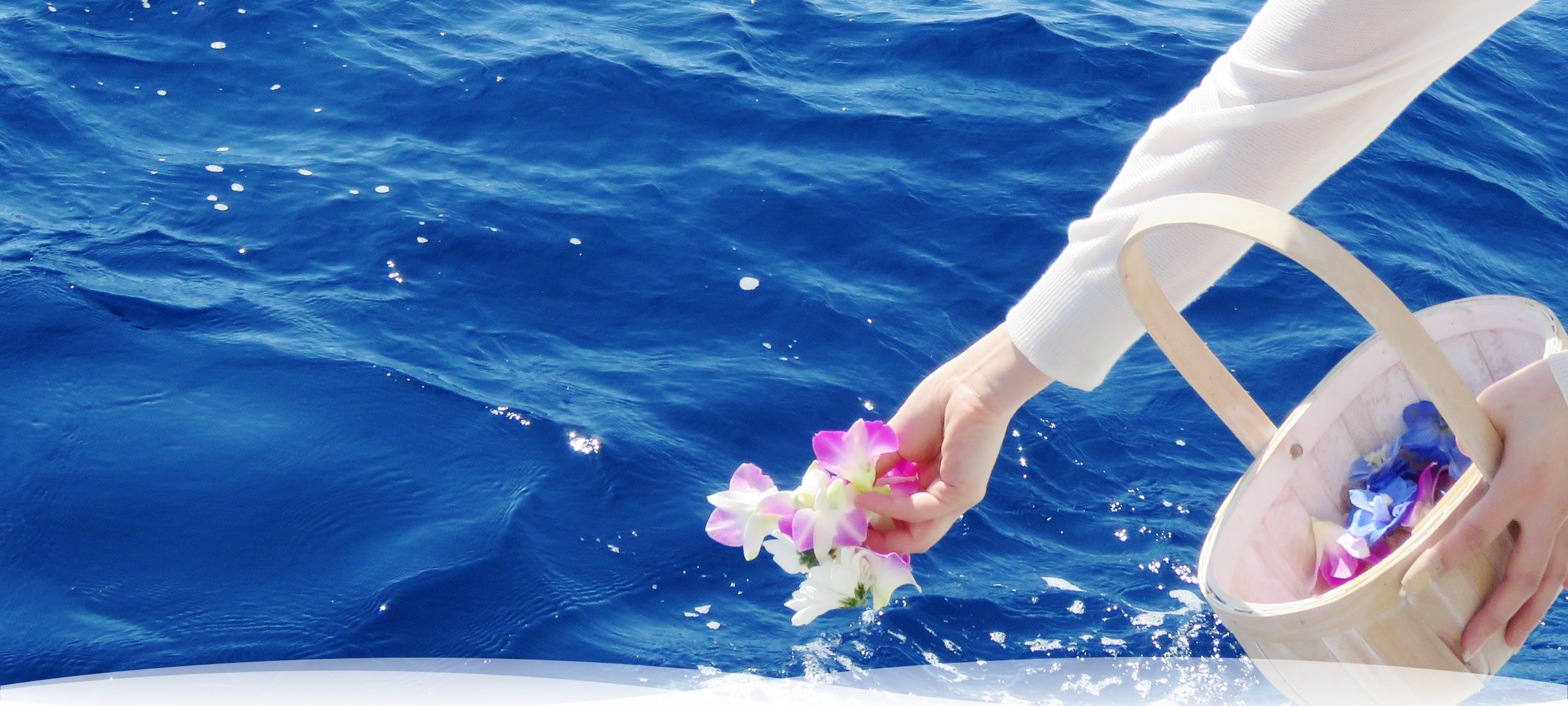 パラセーリングコース